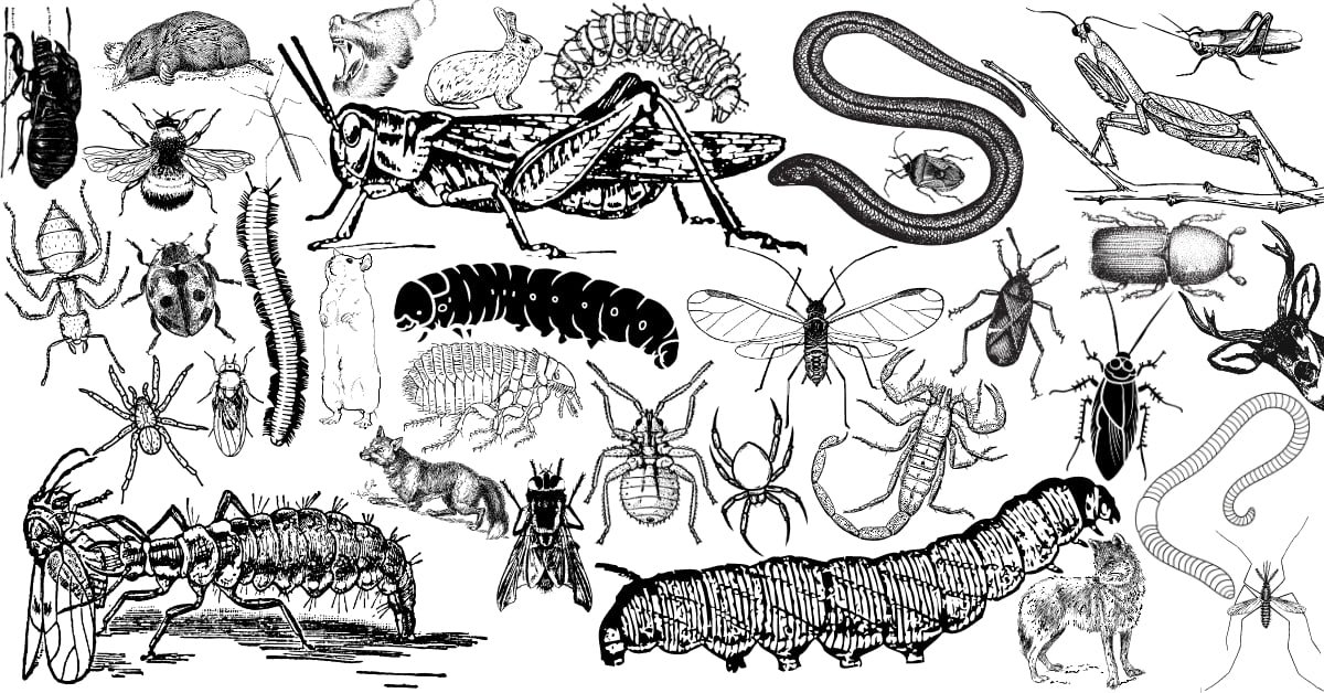 Gardening Critters – Green Grass Grove