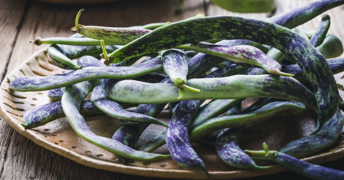 Rattlesnake Pole Bean Green Grass Grove