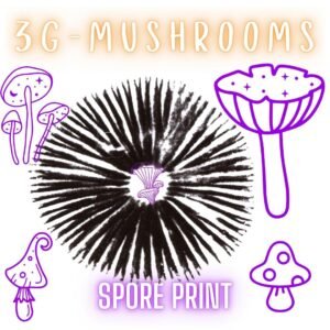 Spore Prints
