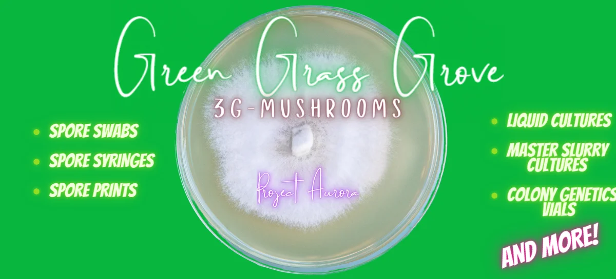 3G - MUSHROOMS - Slider 1